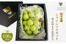 やまなし内藤農園のシャインマスカット1房 ふるさと納税【1076729】