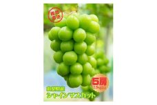山梨市産シャインマスカット　5房(2.5Kg以上)【1270018】