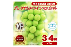 フルーツ王国山梨産 厳選 シャインマスカット 3～4房 (約2kg)【1108670】