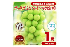 フルーツ王国山梨産厳選 大房シャインマスカット 1房 (約700～800g)【1134568】