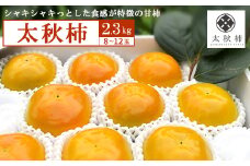 ＜やまなし内藤農園＞太秋柿2.3kg【1222219】