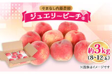 桃 約3.0kg 8～12玉 やまなし内藤農園 ジュエリーピーチ (R) 白桃_ ふるさと納税 ふるさと 桃 もも モモ フルーツ 果物 くだもの ピーチ 人気 美味しい 山梨県 山梨市 山梨 送料無料【1225654】