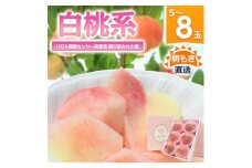 桃 『白桃系』 約2kg 5～8玉 朝もぎ直送! 選び抜かれた桃【1275890】
