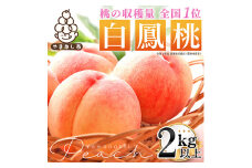 山梨県産もも(白鳳系)2kg以上 5～8玉 熟練農家 厳選の旬の桃【1277675】