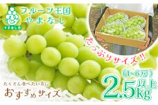 山梨県産 シャインマスカット 2.5kg以上(4～6房) 山梨が誇る 人気果物【1272527】