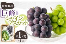 シャインマスカット 巨峰 2種セット 大人気ぶどう2種盛り合わせ計1kg以上【1296211】