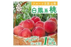 山梨県産 桃 白鳳系 1kg以上(3～5玉) フルーツ王国・山梨から産地直送【1137259】