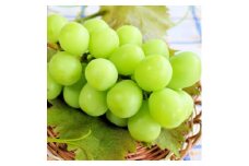 ＜季節を先取り＞＜大人気＞山梨県産 厳選!温室シャインマスカット 秀品 1房(約500g)【1297122】