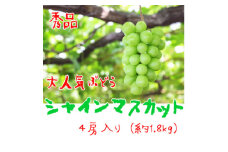 ＜大人気＞ぶどう名産地やまなしの厳選!濃厚シャインマスカット　秀品　約1.8kg(4房)入り【1297223】