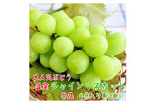 ＜季節を先取り＞＜大人気＞山梨県産 厳選!温室シャインマスカット 秀品 2房(約1kg)【1297127】