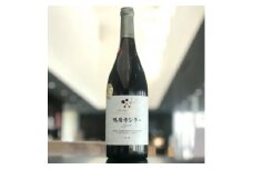 ワイン 鴨居寺シラー ( 赤ワイン ) 750ml 1本〈 シャトー・メルシャン 勝沼ワイナリー 〉_ ふるさと納税 ふるさと ワイン お酒 酒 ギフト プレゼント 贈り物 山梨県 山梨市 人気 送料無料【1298625】