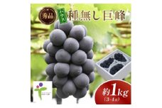 ハウス種なし巨峰(3～4房)/80【1299400】
