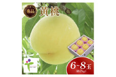 黄金桃(6～8玉)/80【1299729】