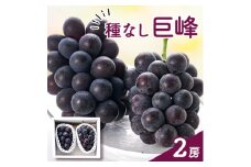 種なし巨峰(2房)【1300007】