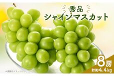 シャインマスカット(8房)【1300099】