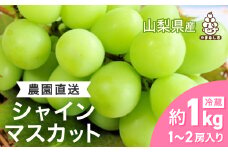 シャインマスカット 約1kg (1～2房) 農園直送 ! シャインマスカット【1299620】