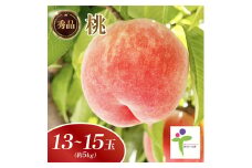 もも(13～15玉)/100【1299727】
