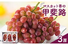 ぶどう 甲斐路 (3房)/80 糖度が高く上品なマスカット香のある甲斐路【1300122】