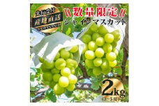 山梨県産シャインマスカット約2kg(3～5房) ふるさと納税【1221552】