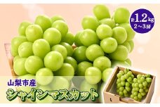 やみつきシャインマスカット 優 1.2kg (2～3房)【1304362】