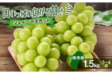 やみつきシャインマスカット 優 1.5kg(3～4房)【1304377】