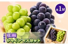 大人気!巨峰・シャインマスカット食べ比べセット ふるさと納税 　【1304385】