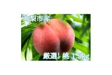 厳選!山梨市産 桃 約1.5kg(4～7玉)【1305782】