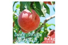 ＜数量限定＞フルーツ王国やまなし県限定品種桃「夢みずき」約2kg ギフト箱入り【1306935】