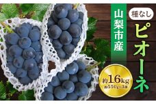ピオーネ 約550g×3房 山梨市産 「ピオーネ(種なし)」 詰め合わせ_ ふるさと納税 ふるさと ぶどう ブドウ 葡萄 フルーツ 果物 くだもの 人気 美味しい 山梨県 山梨市 山梨 送料無料【1117301】
