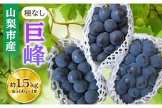 山梨市産「巨峰(種なし)」詰め合わせ(約500g×3房)【1117300】