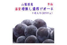 ＜季節を先取り＞＜大人気＞山梨県産 厳選!温室種無しピオーネ 秀品 1房(約500g)【1297134】