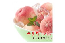 ＜夏の美味＞　厳選!山梨の桃　4～6玉(約1.5kg入り)【1297162】