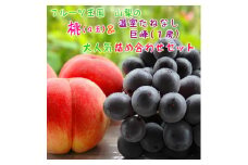 ＜人気＞山梨の桃と種無し巨峰の詰め合わせセット(桃:4玉/種無し巨峰:1房)【1297200】