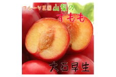 ＜大人気＞フルーツ王国やまなしの厳選!すもも(プラム)＜大石早生＞秀品　約2kg入り【1297428】