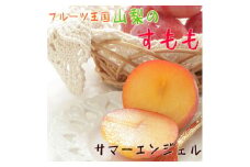 ＜大人気＞フルーツ王国やまなしの厳選!すもも(プラム)＜サマーエンジェル＞秀品　約2kg入り【1297430】