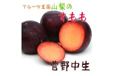 ＜大人気＞フルーツ王国やまなしの厳選!すもも(プラム)＜菅野中生＞秀品　約2kg入り【1297432】