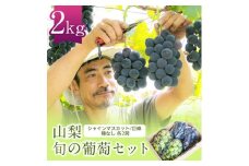 シャインマスカット 巨峰 各2房 旬の葡萄セット2kg (種なし)【1308168】