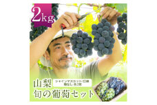 シャインマスカット 巨峰 各2房 旬の葡萄セット2kg (種なし)【1308168】