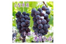 ＜大人気＞ぶどう名産地やまなしの厳選!種無し濃厚巨峰　秀品　約1.8kg(4房)入り【1312880】