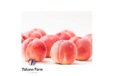 完熟桃 約3kg 山梨県産 自社農園産直! 完熟収穫! Takano Farm【1115746】