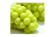 ブドウの名産地「牧丘」のシャインマスカット 2～3房 1kg【1277647】
