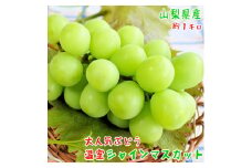 農園直送!季節を先取り!贅沢な厳選!温室シャインマスカット約1kgふるさと納税【1281190】