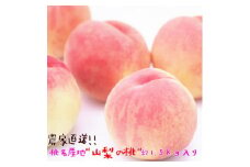 農家直送 桃名産地 山梨の桃 秀品 約1.5kg ふるさと納税【1292060】