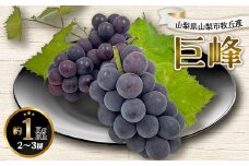 2026年先行予約 山梨県山梨市牧丘産 巨峰 約1.0Kg以上 2～3房【1319471】