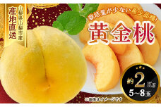 ＜ふるさと納税＞山梨県山梨市産 黄桃 黄金桃 約2kg 5玉～8玉【1328634】
