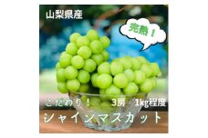 こだわりの逸品!甘さと香り際立つ山梨県産シャインマスカット3房(合計1kg程度)【1331720】