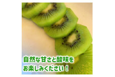 山梨市産　キウイフルーツ(栽培期間中、農薬不使用)  2kg【1271303】