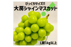＜!ビックリ!＞大房シャインマスカット＜1房1kg以上＞【1349971】