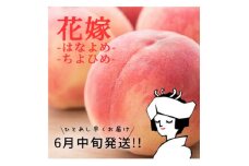 旬を先取り!甘く可憐な「花嫁(はなよめ)」「ちよひめ」約1kg 6月中旬発送【1017344】