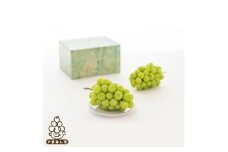 コラボ製品＜アグベル×ヘラルボニー＞シャインマスカット2房1kg以上※2023年9月以降発送【1357560】